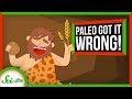 Paleo Got It Wrong: We've Loved Carbs for Over 100,000 Years | SciShow News