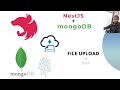Nest JS Mongodb File Upload - in HINDI