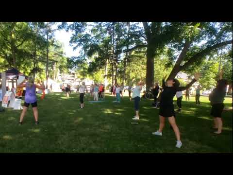 danceFLOW qigong/taichi warmup with danceScape at Fit in the Core 2022