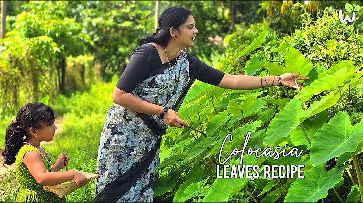 Healthy Karkidaka Month Recipe | Traditional Colocasia Leaves Recipe | Rare & Healthy Kerala Dish. thumbnail