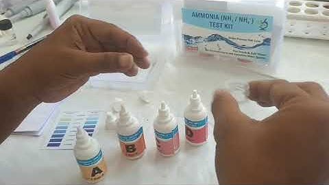 Ammonia water testing kit DCLS