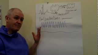 ECG (EKG), Sinus rhythm and abnormalities