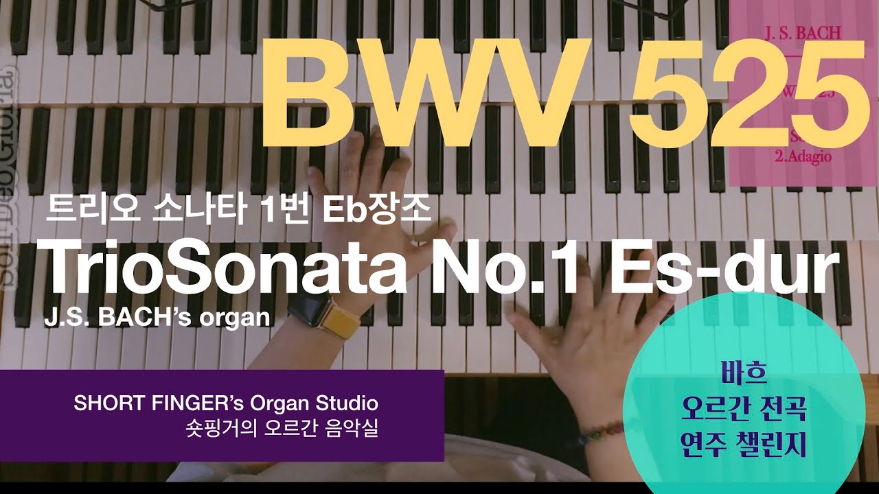 [JS BACH Organ] BWV 525 Trio Sonata no.1 Eb major 트리오소나타 1번 Eb장조 Hauptwerk Erfurt Schuke