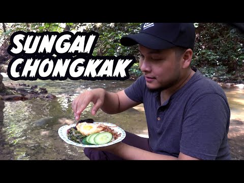 Video: Makanan Berkelah