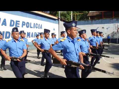 Vídeo: Quan Es Pot Recollir Una Declaració De La Policia