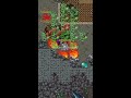 Tibia - MONK 890 Solo Soulpit Orclops #games #gaming #tibia