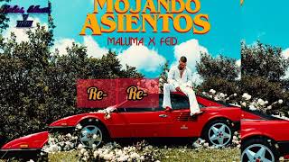 Maluma Ft Feid - Mojando Asientos (Audio Letra/Lyrics)