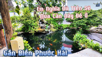 Mê Quá ! Căn Nhà Vườn Quá Đẹp Gần Biển Bà Rịa Vũng Tàu Cần Chuyển Nhượng #bannhavungtau #hocakoi 