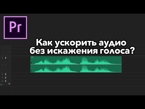 Как ускорить аудио БЕЗ ИСКАЖЕНИЯ голоса в  Adobe Premiere Pro?