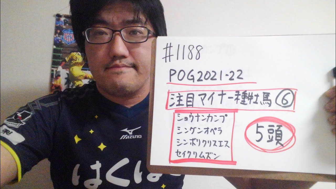 【POG2021-22】注目マイナー種牡馬 その6 ショウナンカンプ、シングンオペラ、シンボリクリスエス、セイクリムズン - YouTube