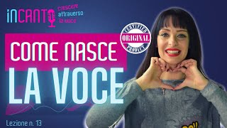 La VOCE come nasce? CORDE VOCALI | LARINGE | LA VOCE nel Canto | Lezione 13 Incanto