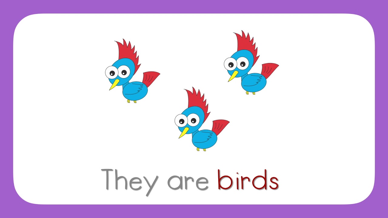 Sam's Magic House Talking Flashcards Unit 2 Forest Animals   Plural