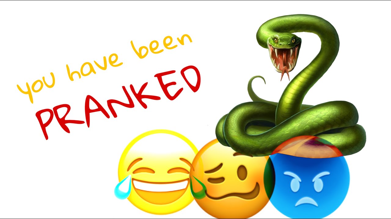 Snake Prank On The Kids YouTube
