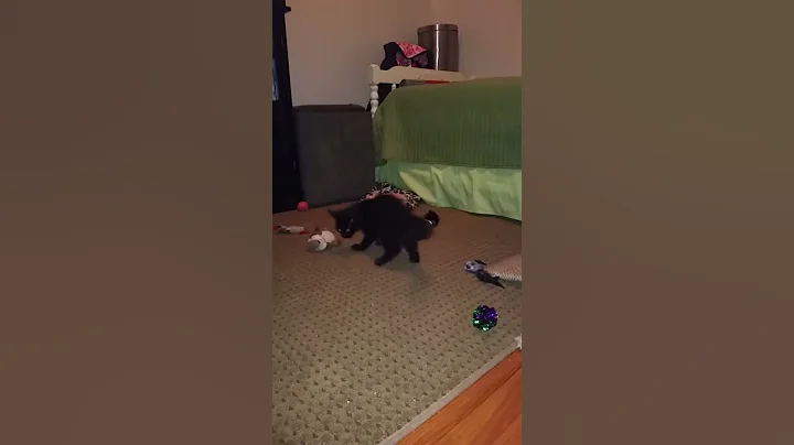 Margaret's evening playtime