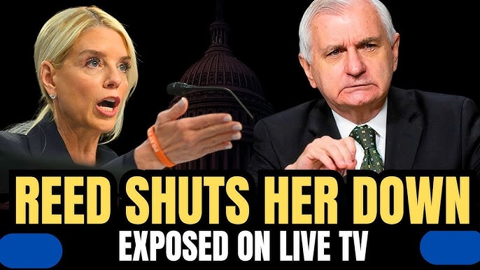 Jack Reed EXPOSES Bondi's Gun Policy Spin — LIVE - YouTube