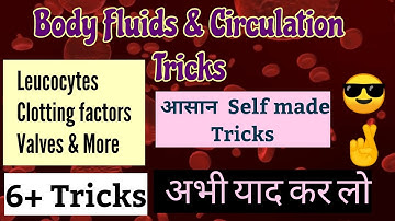 Body Fluids and Circulation Tricks | NCERT BIOLOGY |  6+ tricks Included | NEET EXPLORER | MTG