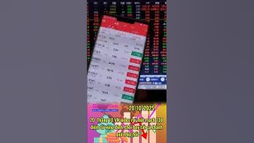 20  Tháng 10 VN index rơi một mạch 130 điểm từ vùng đỉnh ,thổi bay tất cả thành quả nhịp hồi