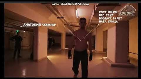 TOP DOG Andrey "Sazon" vs. Anatoly "Hamlo" Maurin/ bare fists fight