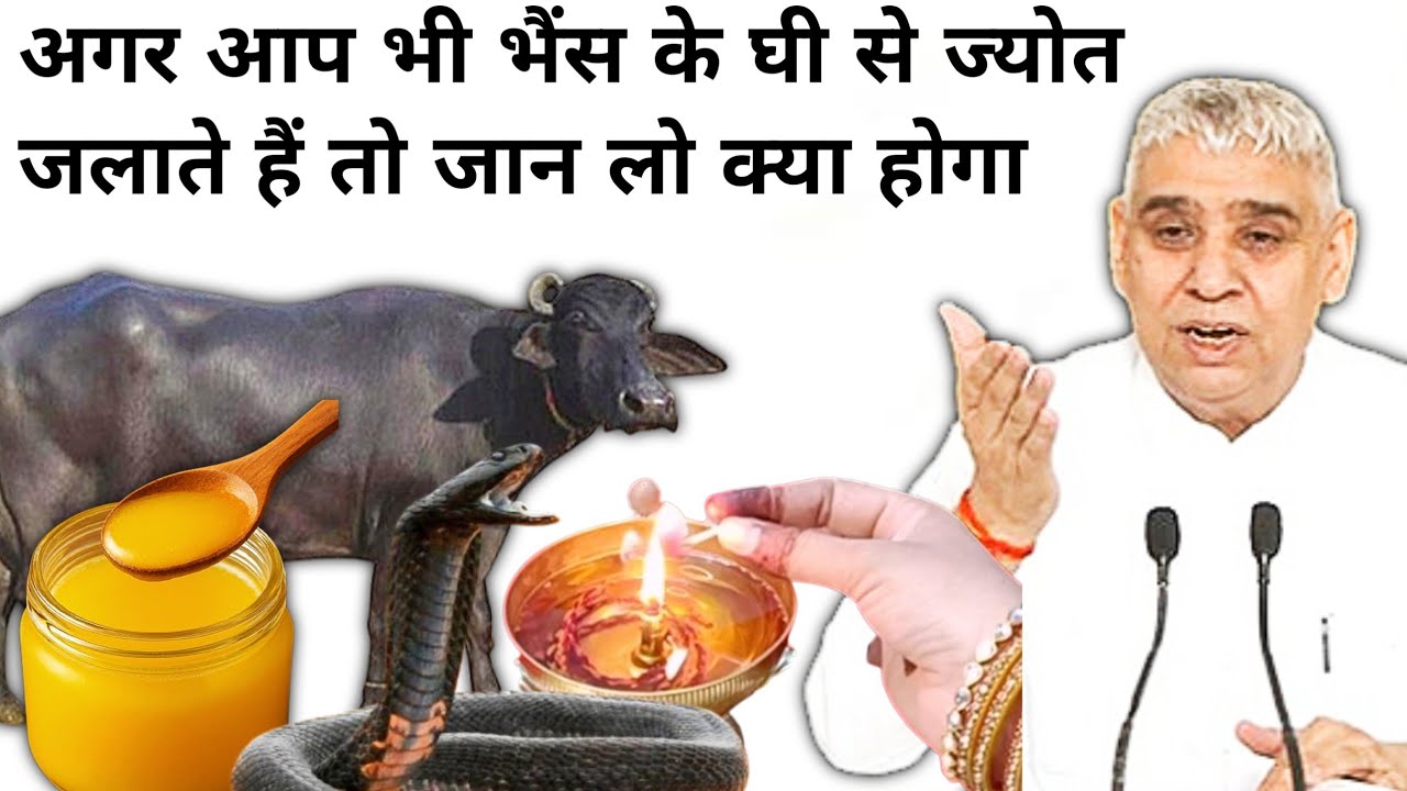 If you also use buffalo ghee, then know what will happen sant Rampal Ji Maharaj 