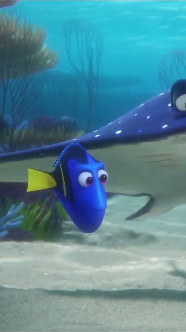 ? What’s the Stingray Migration? | Finding Dory | Disney Kids