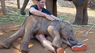 Thailand - Baby Elephants & Patara Elephant Farm