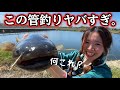 とある怪しいブラックバスの管釣りが外道すぎた件。