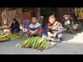 Quang and Minh worked together to harvest corn and sell it - A good working day | Orphan boy Quang