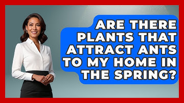Are There Plants That Attract Ants To My Home In The Spring? | Insects and Invaders