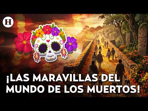 Costumes, pets, and memories! The world of the living and the dead unite on the Path to Mictlán