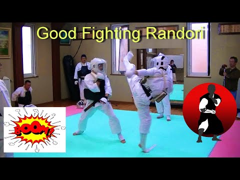 Shorinji Kempo (JAPAN) Good fighting randori !