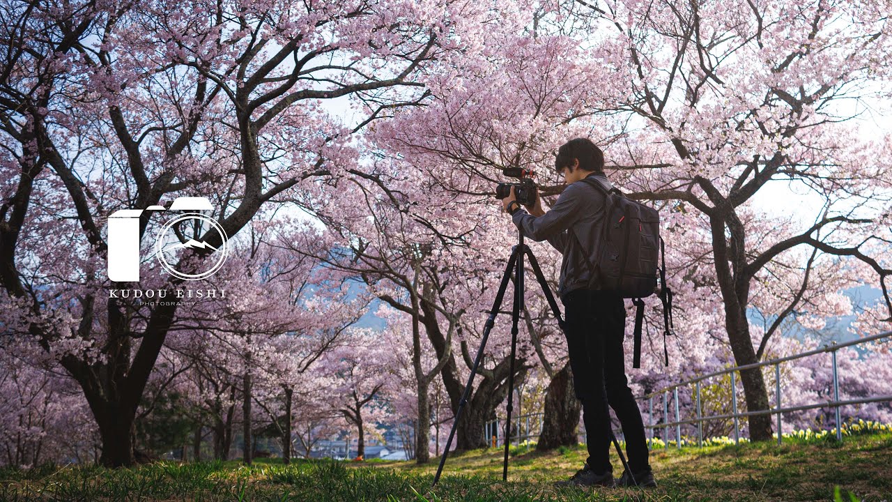 日本の風景 めぐり来る春 Japan 4K】Beautiful spring scenery of