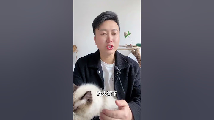 猫咪挨打的时候，为什么不反抗。新手养猫 科学养宠攻略 养猫人 宠物叶黄素 养狗经验分享