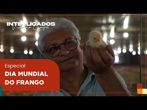 Dia Mundial do Frango: As famílias que criaram impérios no campo | Interligados - Vida no Campo