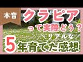 「クラピアを植えてはいけない」噂の真相は？5年以上育てた本音の感想