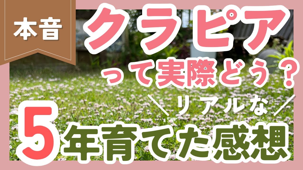 クラピア 植え て は いけない