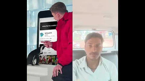 Can I Teach a Penguin To Subscribe? @MrBeast