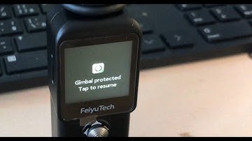 Feiyu Pocket 2S - problem with pan axis, vibration, Gimbal protected