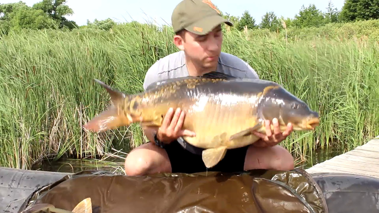 Трофеи сезона Carpfishing_Club 2015