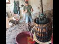 Natural wine making with danilo marcucci at ceppaiolo