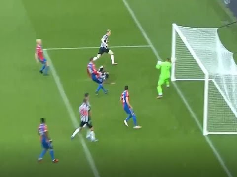 Newcastle Crystal Palace Goals And Highlights