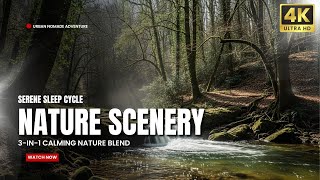 Serene Sleep Cycle | Nature Sounds to Heal Your Mind