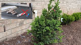 How to Clean a GE Dryer Vent, and What NOT to Do