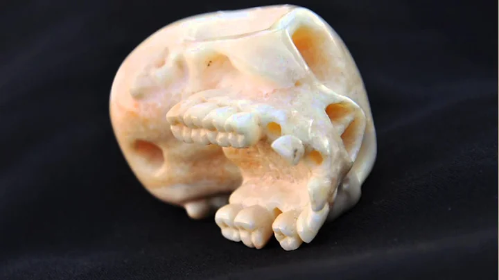Walrus Ivory Skull carved by Jamie Thibault