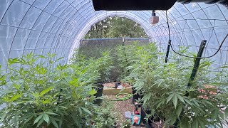 WEED NERD ALL-CALL: Mixing Live & Greenhouse Talk!