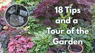 18 Garden TIPS from My Garden: Propagation, Pests, & Planning