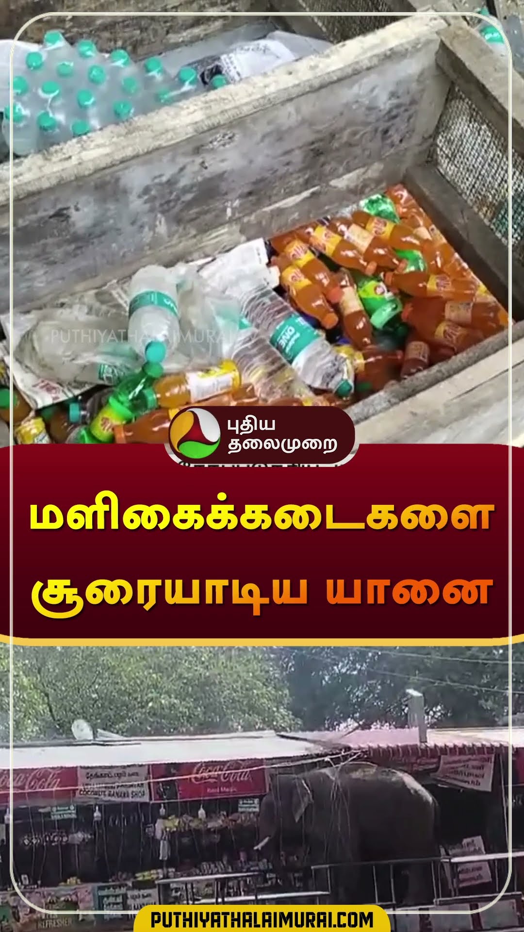 மளிகைக்கடைகளை சூரையாடிய யானை | #valparai | #kovai | #elephant | #shorts