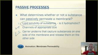 BIO 201 - UNIT 1 - Chap 3 - Lec 3 - Membrane Transport