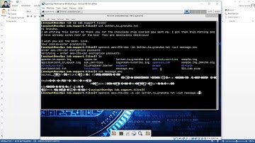 9.1.1.6 Lab - Encrypting and Decrypting Data Using OpenSSL