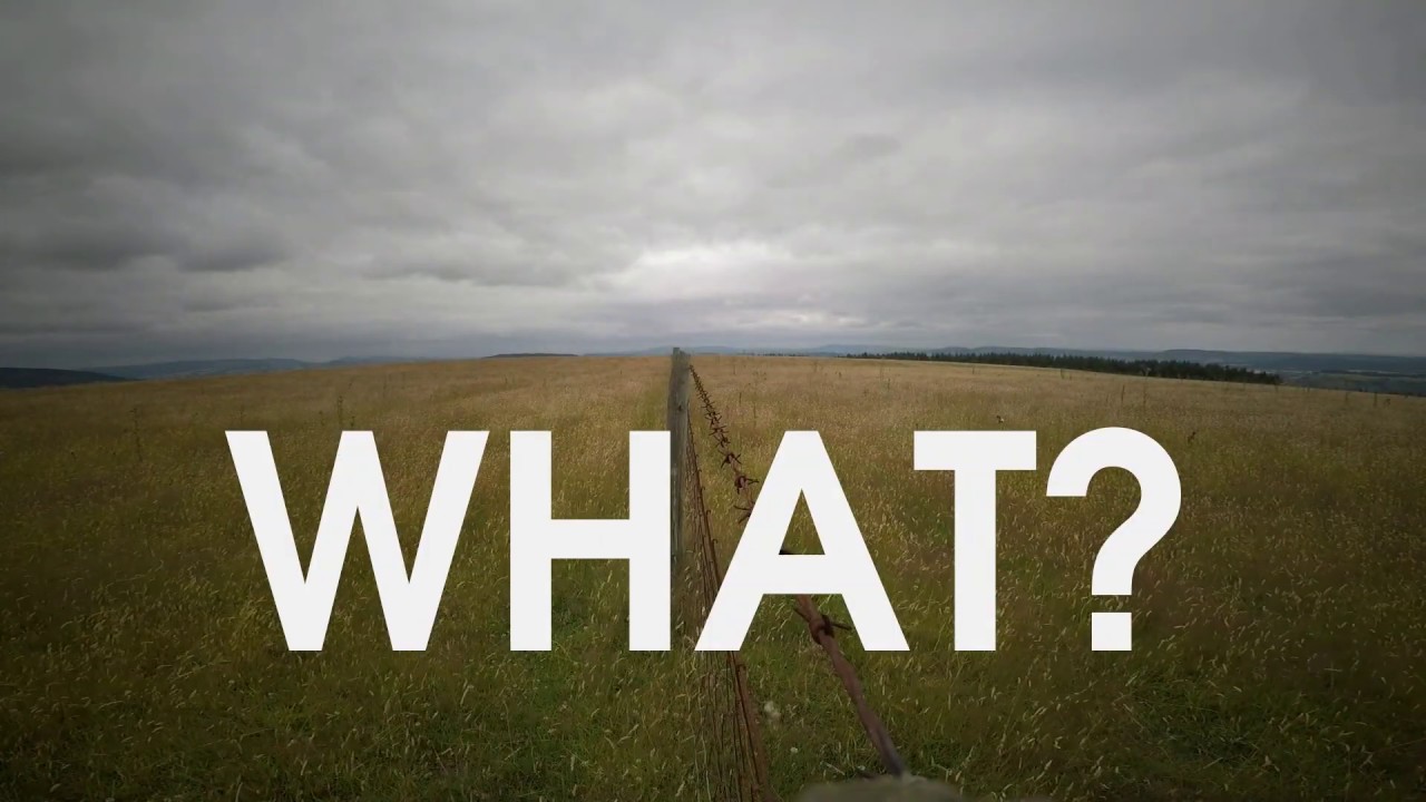 What? - Is - YouTube