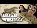 ¿CÓMO ERA ARGENTINA ANTES DE LOS HUMANOS? EL MISTERIO DEL LAGARTO PATAGÓNICO | ÚLTIMO AVISO